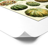 ヴィンテージ野菜グラフアドルフミロ ポスター (角)