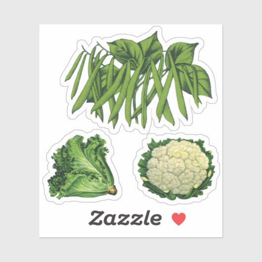 ヴィンテージ野菜グリーンビーンズLettuceカリフラワー シール (シート)
