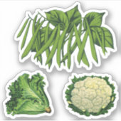 ヴィンテージ野菜グリーンビーンズLettuceカリフラワー シール (正面)