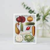 ヴィンテージ野菜シードカタログイラストレーション ポストカード (スタンド正面)