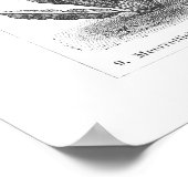 ヴィンテージ野菜プリント植物性ドイツのポスター ポスター (角)