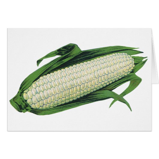 ヴィンテージ野菜ホワイトコーンオンザコブ (正面横)