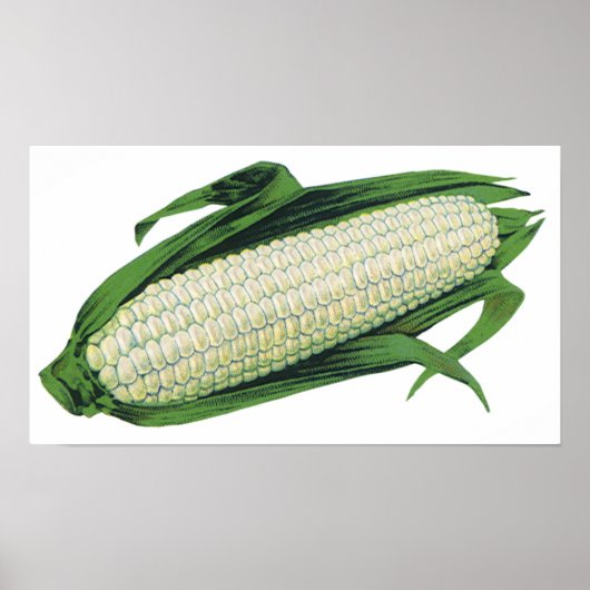 ヴィンテージ野菜ホワイトコーンオンザコブ ポスター (正面)