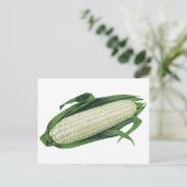 ヴィンテージ野菜ホワイトコーンオンザコブ ポストカード (スタンド正面)