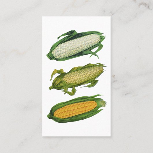 ヴィンテージ野菜ホワイトコーンオンザコブ 名刺 (裏面)
