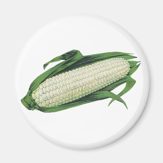 ヴィンテージ野菜白トウモロコシオンザコブ マグネット (正面)