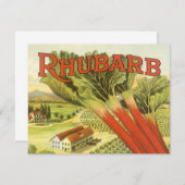 ヴィンテージ野菜缶ラベルアートルバーブファーム (正面/裏面)