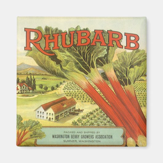 ヴィンテージ野菜缶ラベルアートルバーブファーム マグネット (正面)