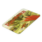 ヴィンテージ野菜缶ラベルアートルバーブファーム マグネット (左側)