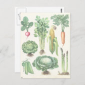ヴィンテージ野菜葉書 ポストカード (正面/裏面)