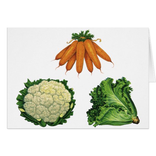 ヴィンテージ野菜；ニンジン、カリフラワー、レタス (正面横)
