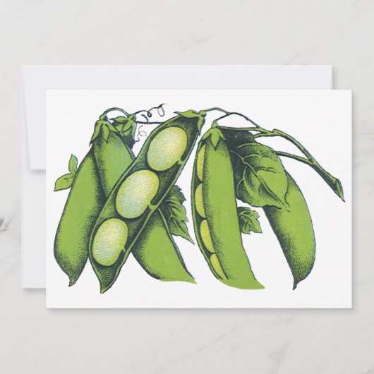 ヴィンテージ野菜；リマ豆オーガニック、農作物 (正面)