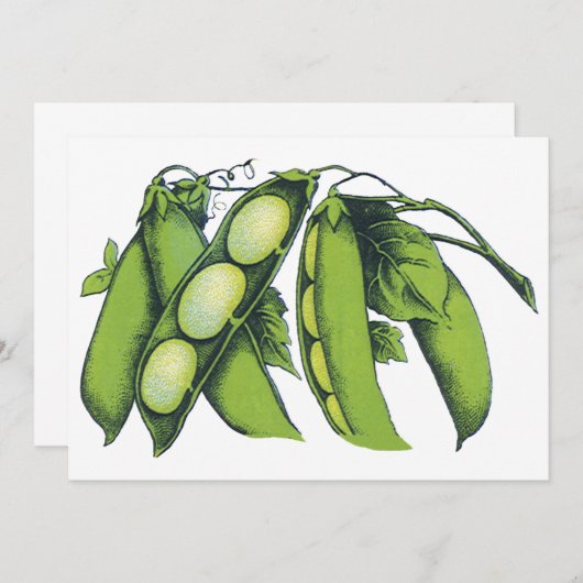 ヴィンテージ野菜;リマ豆オーガニック、農作物 (正面/裏面)