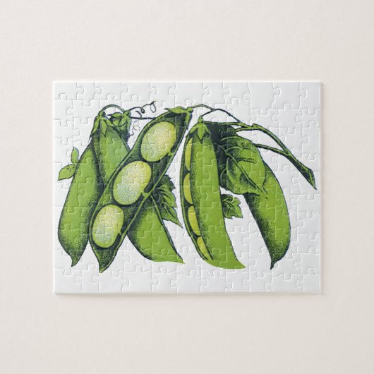 ヴィンテージ野菜；リマ豆オーガニック、農作物 ジグソーパズル (横)