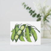 ヴィンテージ野菜；リマ豆オーガニック、農作物 ポストカード (スタンド正面)