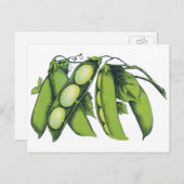 ヴィンテージ野菜；リマ豆オーガニック、農作物 ポストカード (正面/裏面)