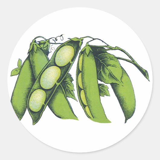 ヴィンテージ野菜;リマ豆オーガニック、農作物 ラウンドシール (正面)