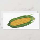 ヴィンテージ野菜；黄色トウモロコシのコブ (正面)