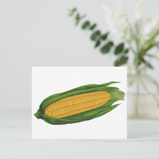 ヴィンテージ野菜;黄色トウモロコシのコブ ポストカード (スタンド正面)
