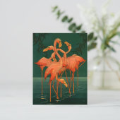 ヴィンテージ野鳥、熱帯ピンクのフラミンゴ ポストカード (スタンド正面)