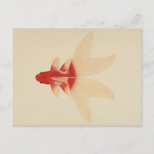 ヴィンテージ金ゴールド魚はがき ポストカード (正面)