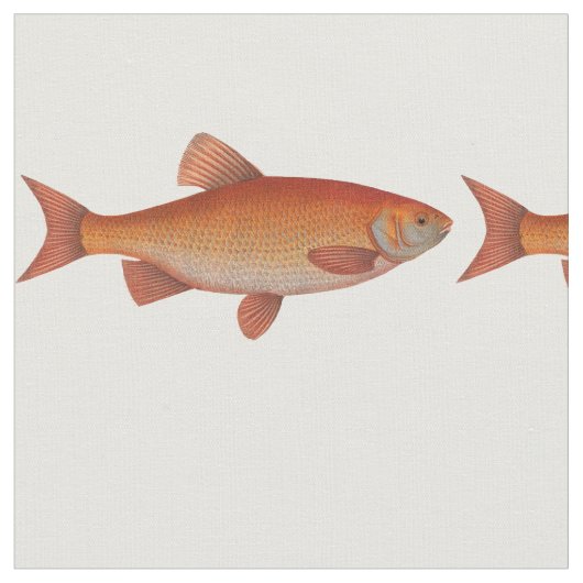 ヴィンテージ金ゴールド魚 ファブリック (クローズアップ)