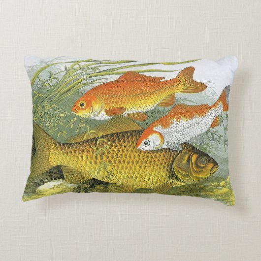 ヴィンテージ金魚コイ魚、海洋水中競技海生活 アクセントクッション (裏面)