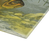 ヴィンテージ金魚コイ魚、海洋水中競技海生活 カッティングボード (角)