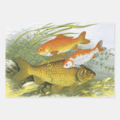 ヴィンテージ金魚コイ魚、海洋水中競技海生活 ラッピングペーパーシート (正面)