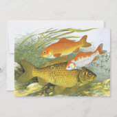 ヴィンテージ金魚コイ魚、海洋水中競技海生活 招待状 (正面)