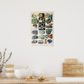 ヴィンテージ鉱物岩地学 ポスター (キッチン)