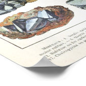 ヴィンテージ鉱物岩地学 ポスター (角)