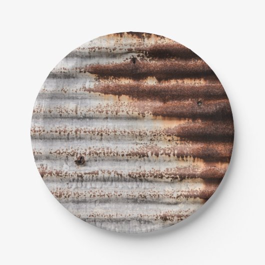 ヴィンテージ錆び金属 ペーパープレート (正面)