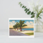 ヴィンテージ鍵ウエストフロリダルーズヴェルトブルバード ポストカード (スタンド正面)