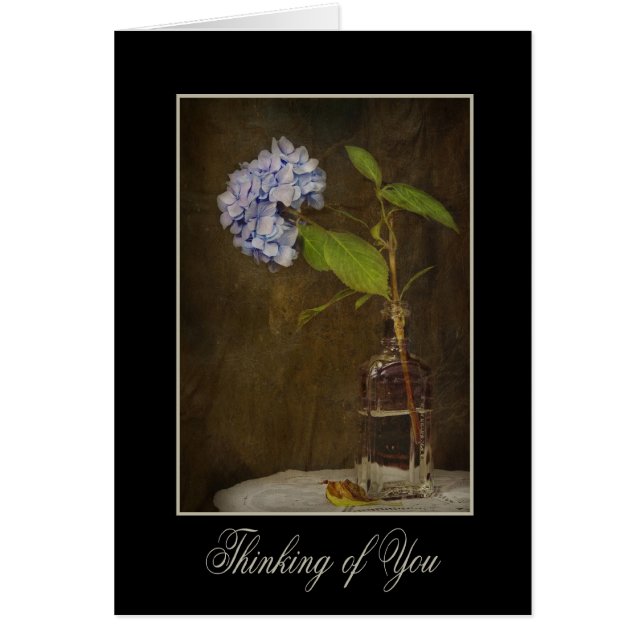 ヴィンテージ開花 (正面)