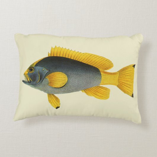 ヴィンテージ青と黄色のハタの魚、海洋生物 アクセントクッション (裏面)