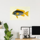 ヴィンテージ青と黄色のハタの魚、海洋生物 ポスター (ホームオフィス)