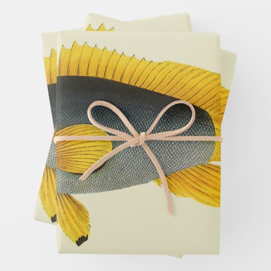 ヴィンテージ青と黄色のハタの魚、海洋生物 ラッピングペーパーシート (インサイチュ)