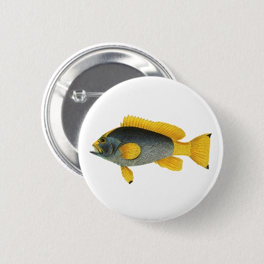 ヴィンテージ青と黄色のハタの魚、海洋生物 缶バッジ (正面&裏面)