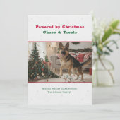 ヴィンテージ面白いクリスマスの犬のペット写真 シーズンカード (スタンド正面)