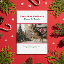 ヴィンテージ面白いクリスマスの犬のペット写真