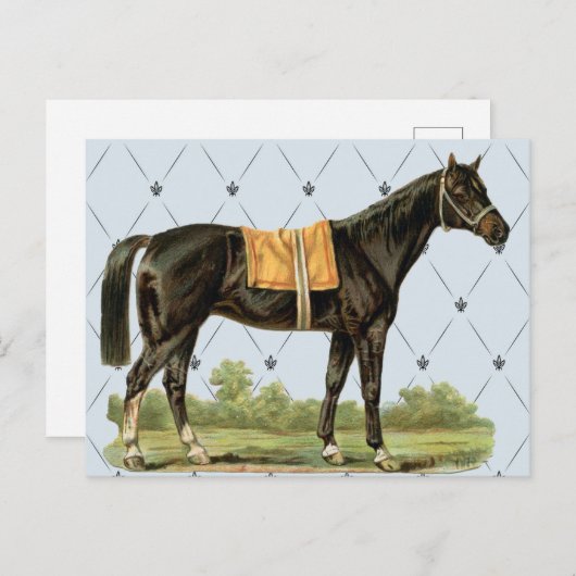 ヴィンテージ鞍馬はがき ポストカード (正面/裏面)