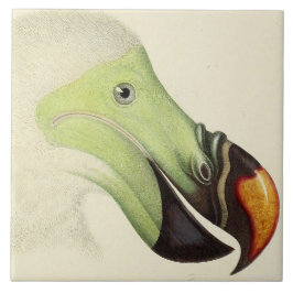 ヴィンテージ頭 タイル