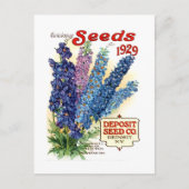 ヴィンテージ類別Delphiniumsシードパケット ポストカード (正面)