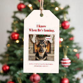 ヴィンテージ風おもしろペット犬のクリスマス写真 ギフトタグ