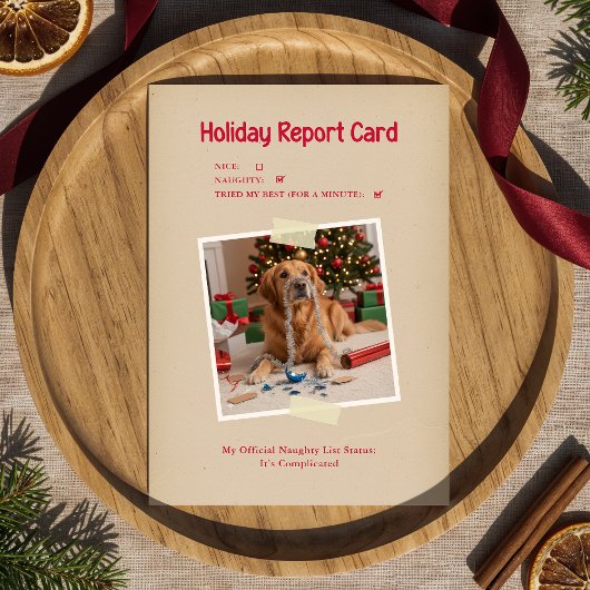 ヴィンテージ風おもしろ犬の写真 クリスマス ホリデー ポストカード