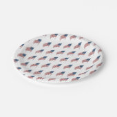 ヴィンテージ風になびく米国愛国国旗 ペーパープレート (アングル)