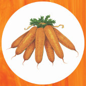 ヴィンテージ風フード, 有機ニンジン野菜の束 ラウンドシール