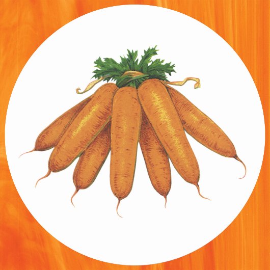 ヴィンテージ風フード, 有機ニンジン野菜の束 ラウンドシール
