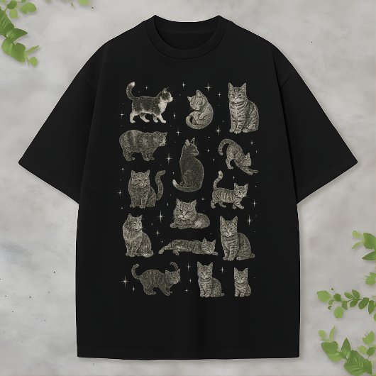 ヴィンテージ風レトロな子猫の空猫愛好家ギフト美学 Tシャツ